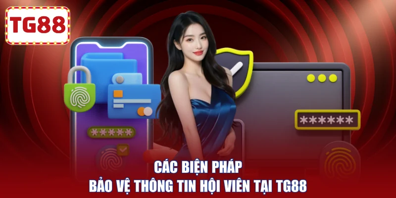 Các biện pháp bảo vệ thông tin hội viên tại TG88