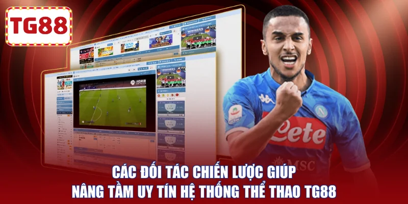 Các đối tác chiến lược giúp nâng tầm uy tín hệ thống thể thao TG88