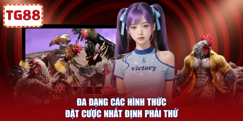 Đa dạng các hình thức đặt cược nhất định phải thử