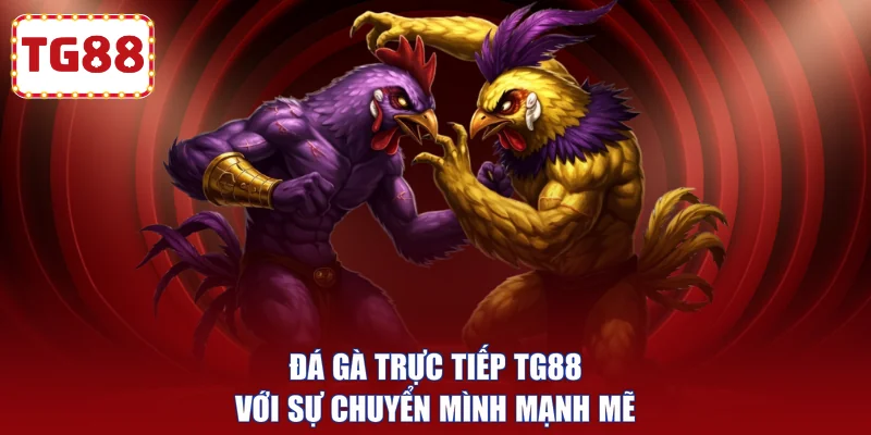 Đá gà trực tiếp TG88 với sự chuyển mình mạnh mẽ