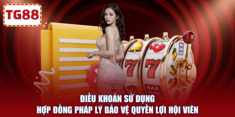 Điều khoản sử dụng hợp đồng pháp lý bảo vệ quyền lợi hội viên