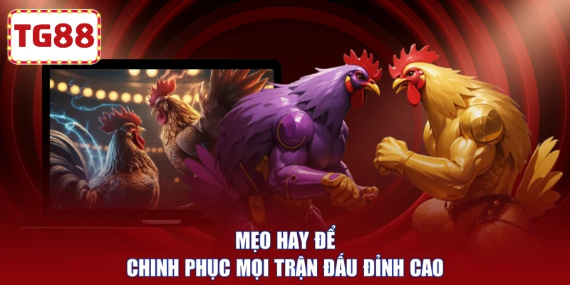 Mẹo hay để chinh phục mọi trận đấu đỉnh cao