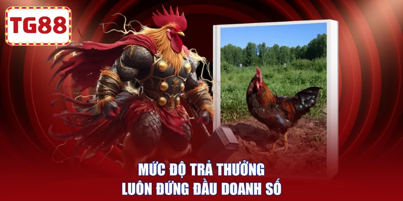 Mức độ trả thưởng luôn đứng đầu doanh số
