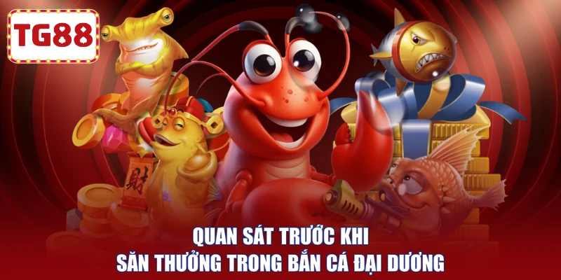 Quan sát trước khi săn thưởng trong bắn cá đại dương