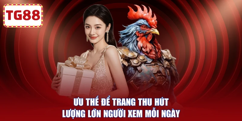 Ưu thế để trang thu hút lượng lớn người xem mỗi ngày